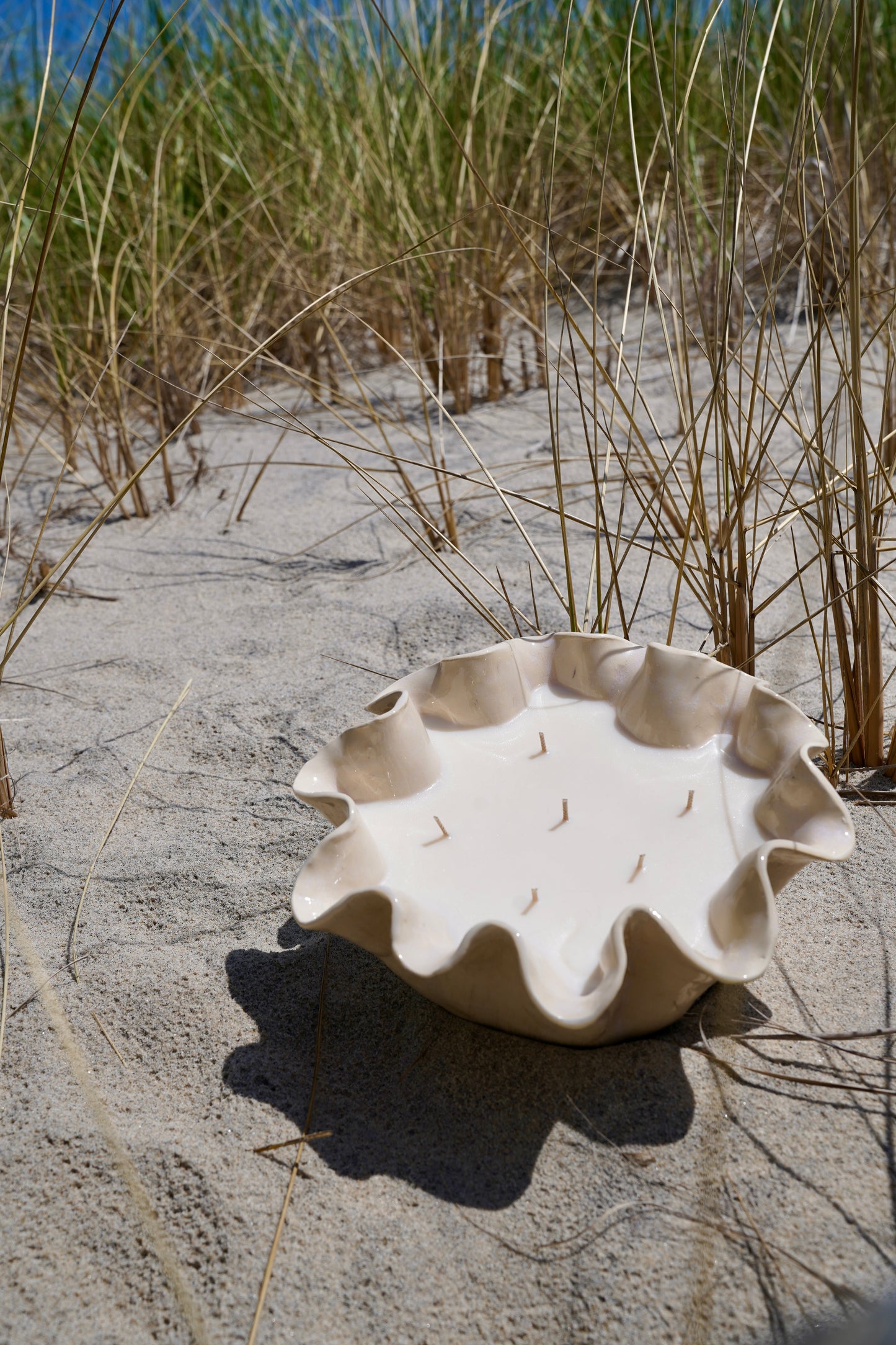 Coral Bowl