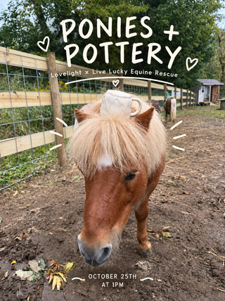Ponies + Pottery at Live Lucky Equine Rescue