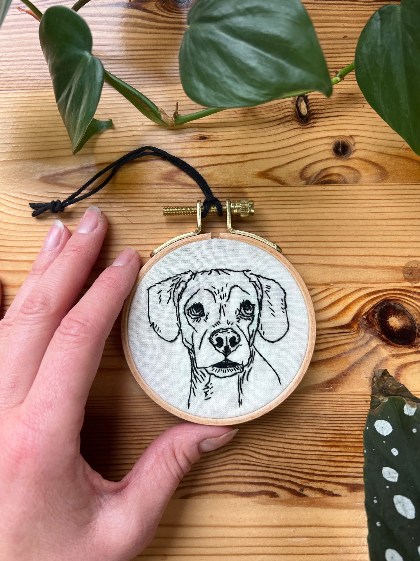 Pet Portrait Embroidery Class With Hannah Lamar Studio